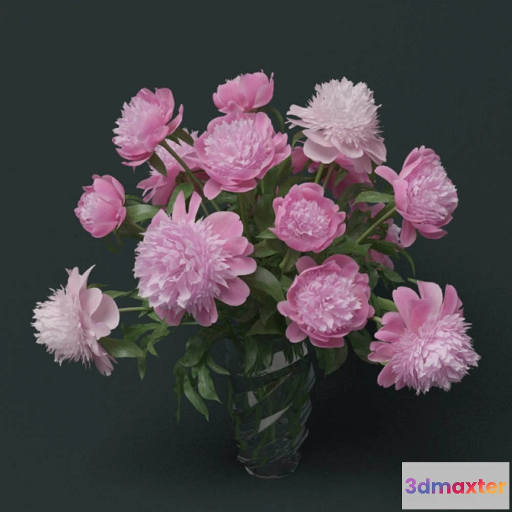 1608126 - decoration - Peons barbara 3D Max