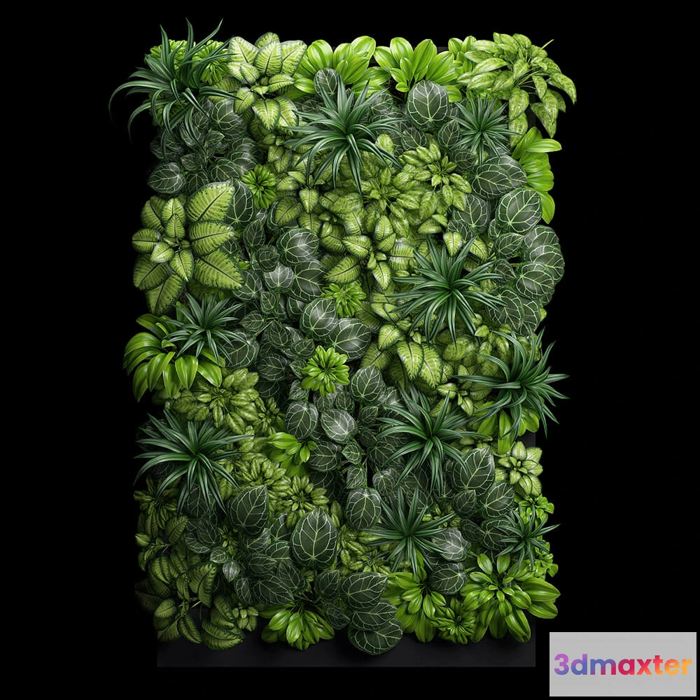 1608132 - decoration - Fitostena 3D Max