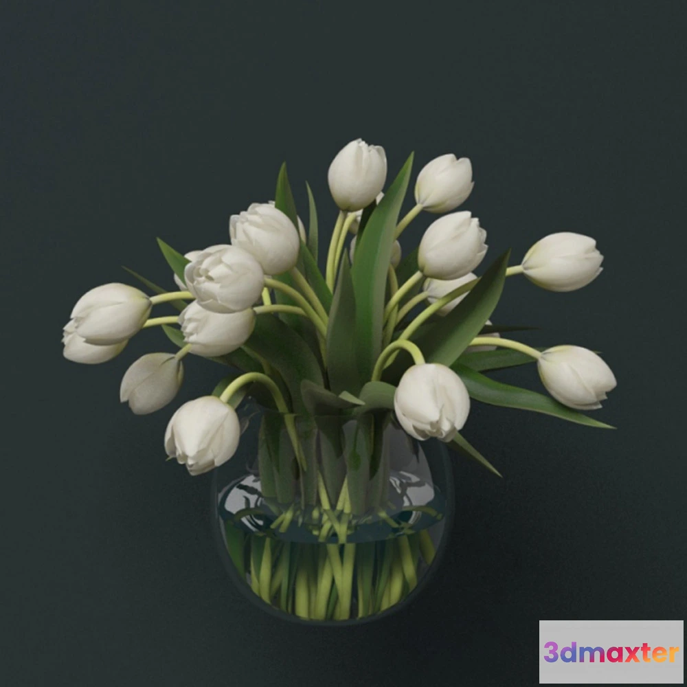 1608136 - decoration - Beautiful white tulips 3D Max