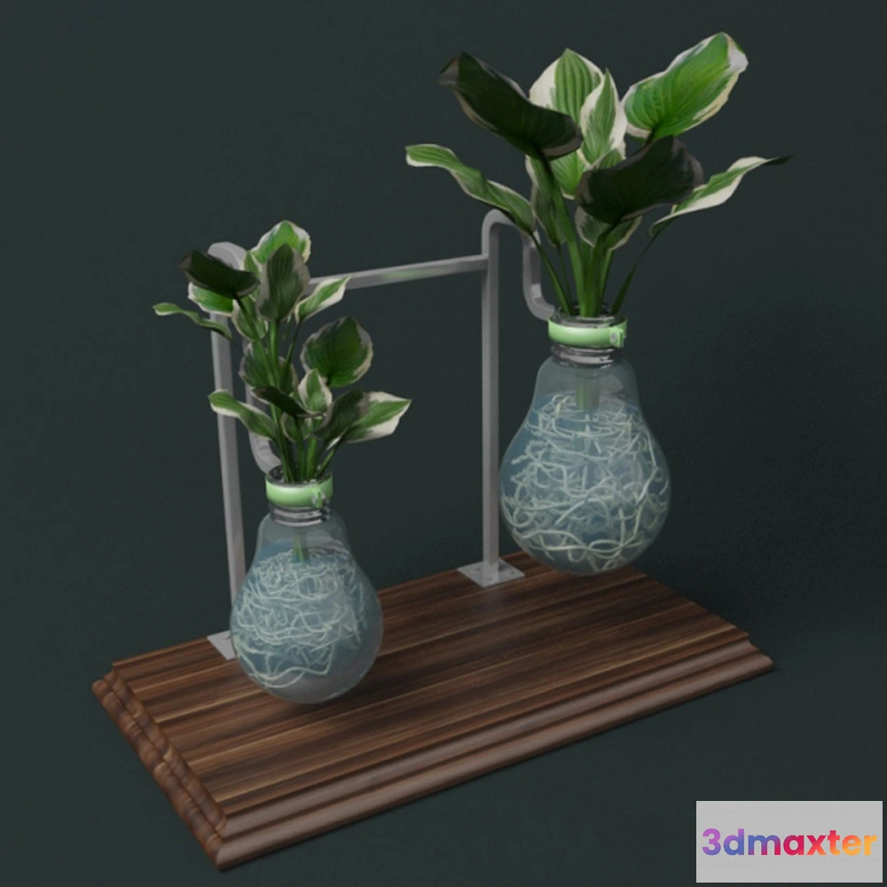 1608150 - decoration - Plants in flasks 3D Max