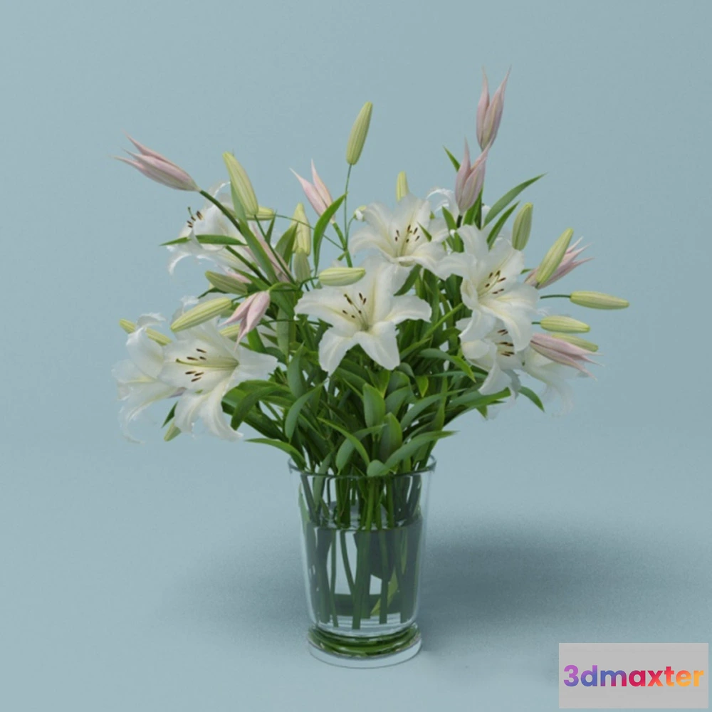 1608156 - decoration - Very beautiful lilies 3D Max