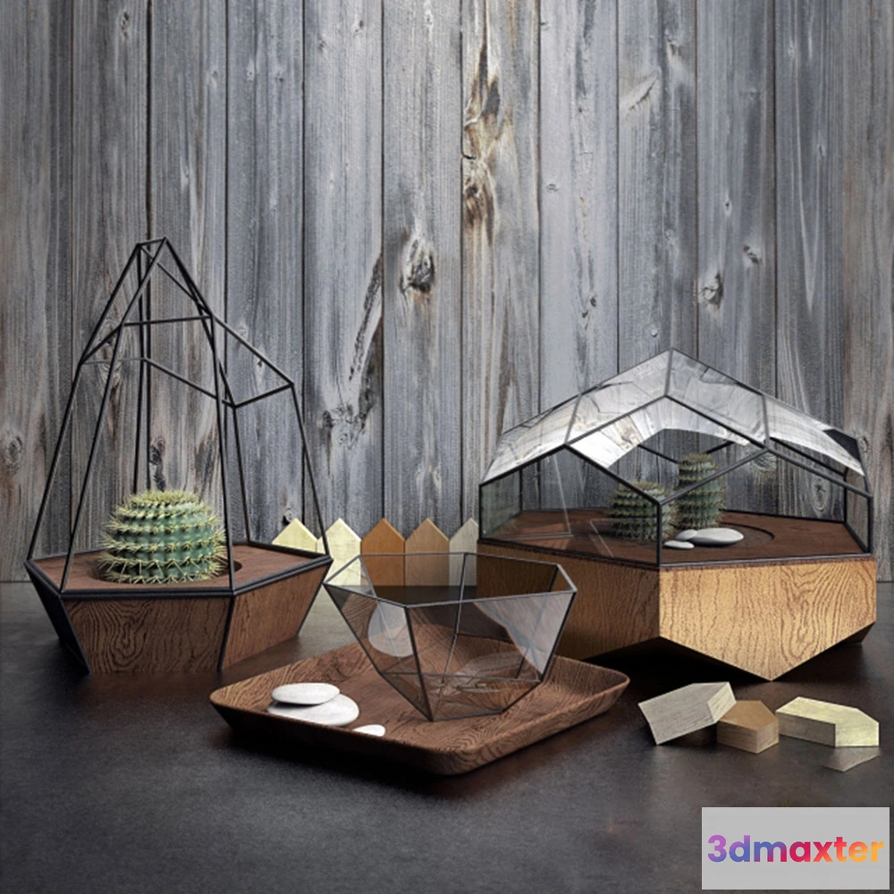 1608172 - decoration - Cacti in decorative pots 3D Max