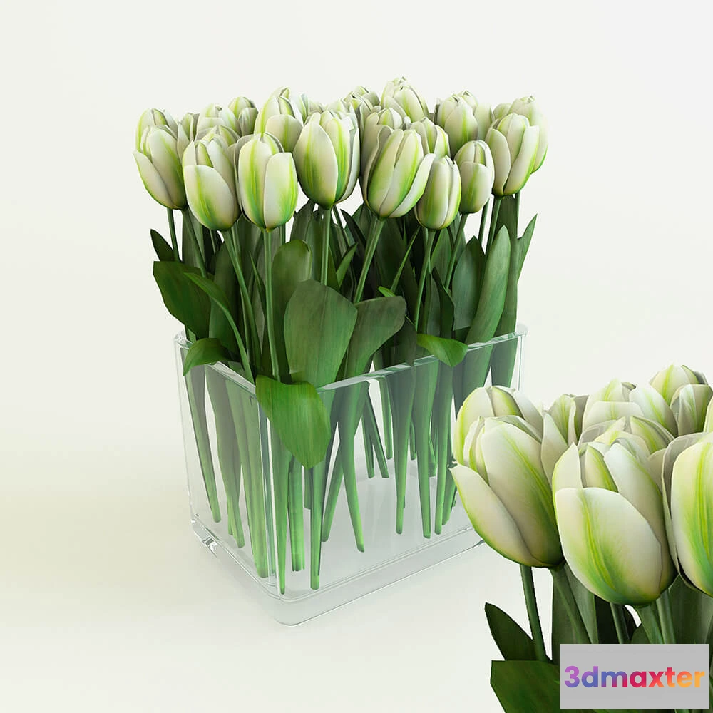 1608174 - decoration - White tulips in a rectangular vase 3D Max