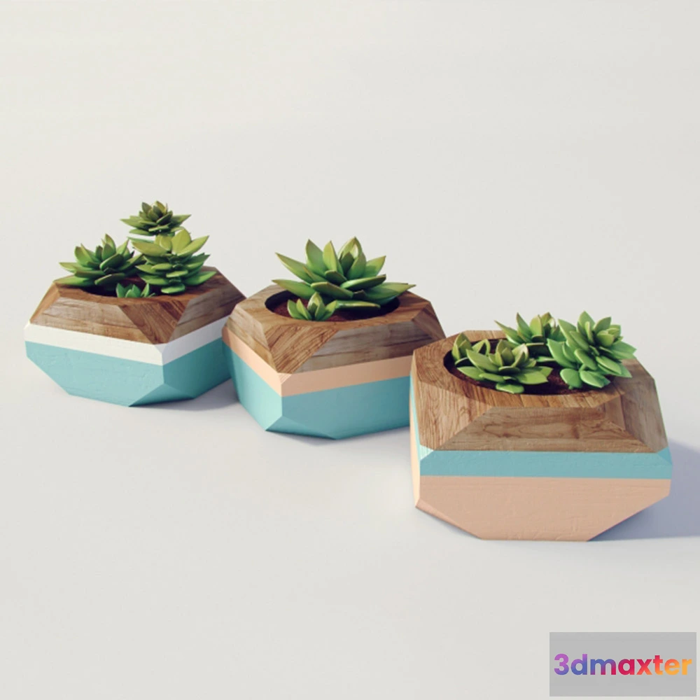 1608182 - decoration - Beautiful flower- plant 3D Max