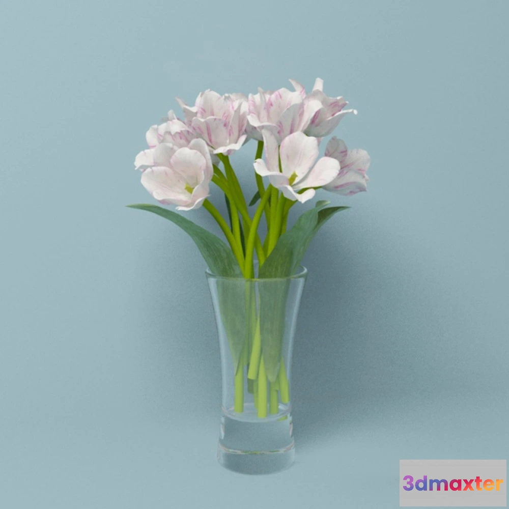 1608184 - decoration - Tulips in a vase 3D Max