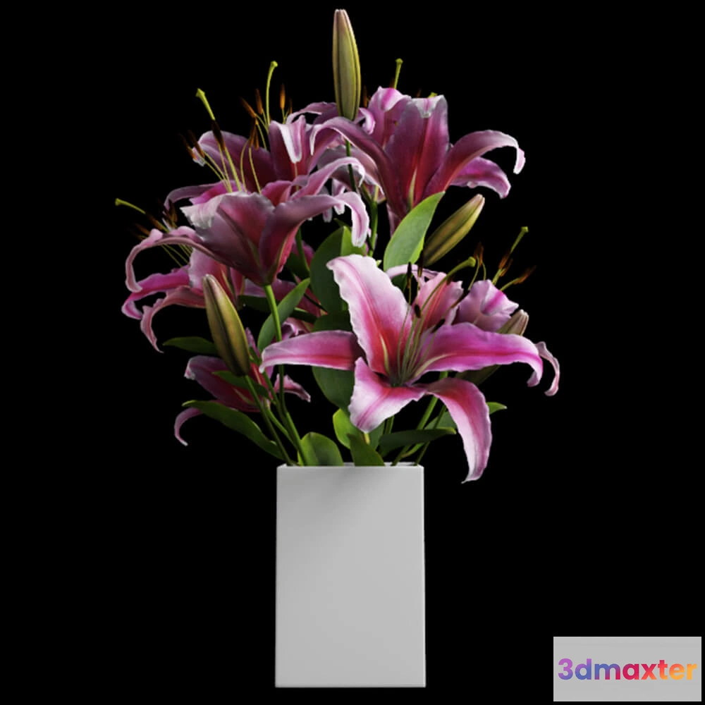 1608190 - decoration - Pink lilies 3D Max