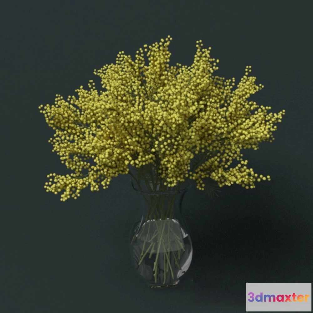 1608196 - decoration - Mimosa flower 3D Max