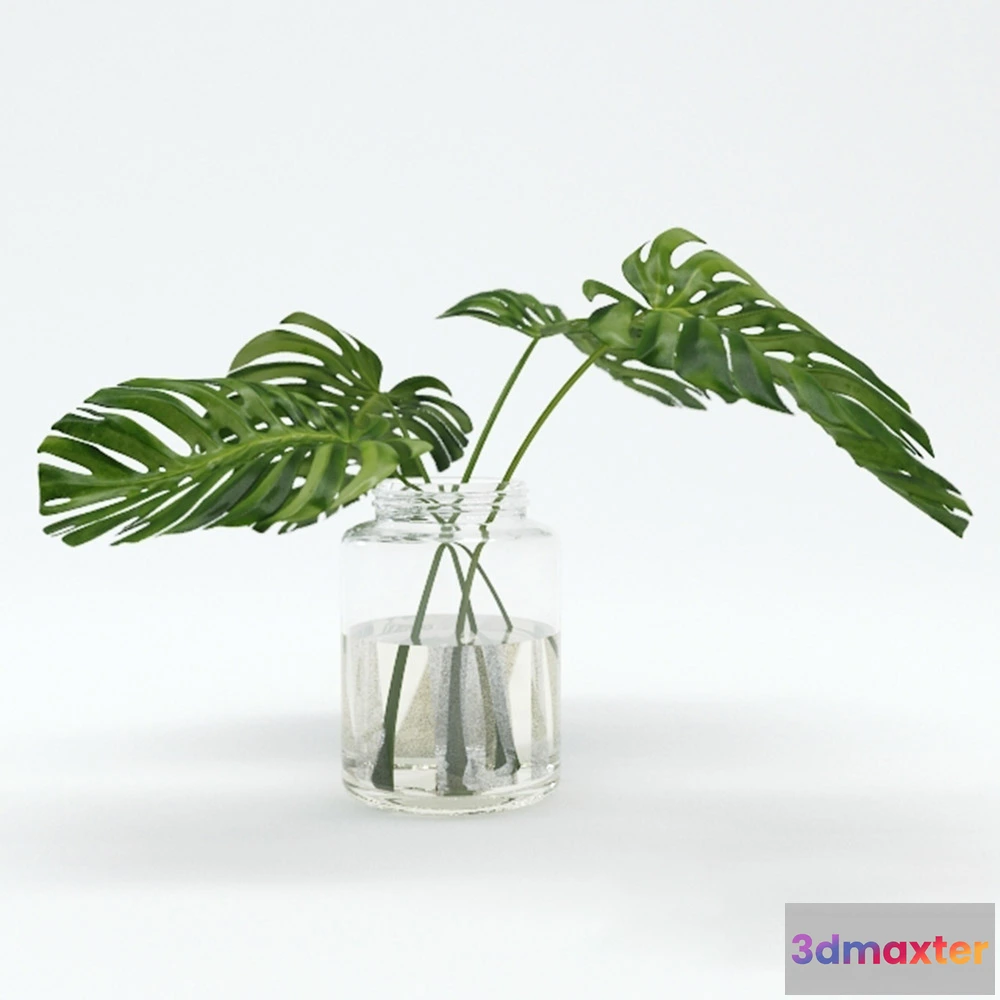 1608206 - decoration - Tropical leaves 3D Max