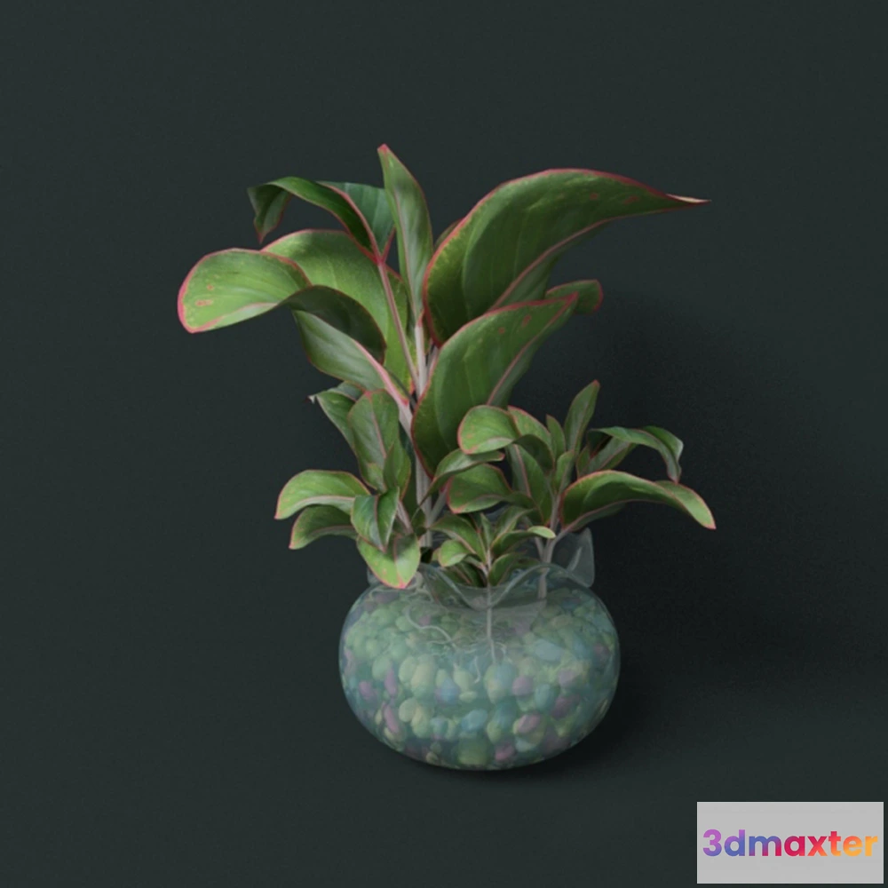 1608208 - decoration - Flower pot 3D Max