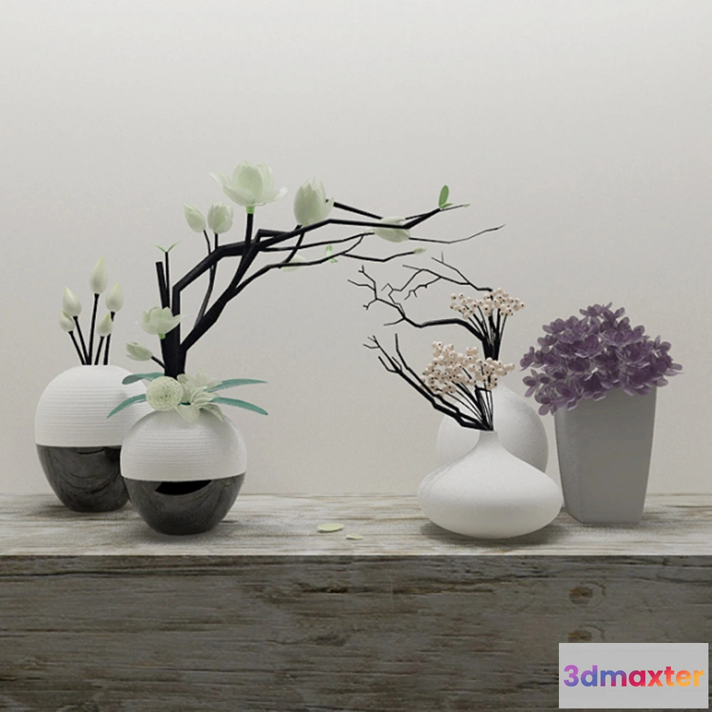 1608232 - decoration - Vases and plants 3D Max