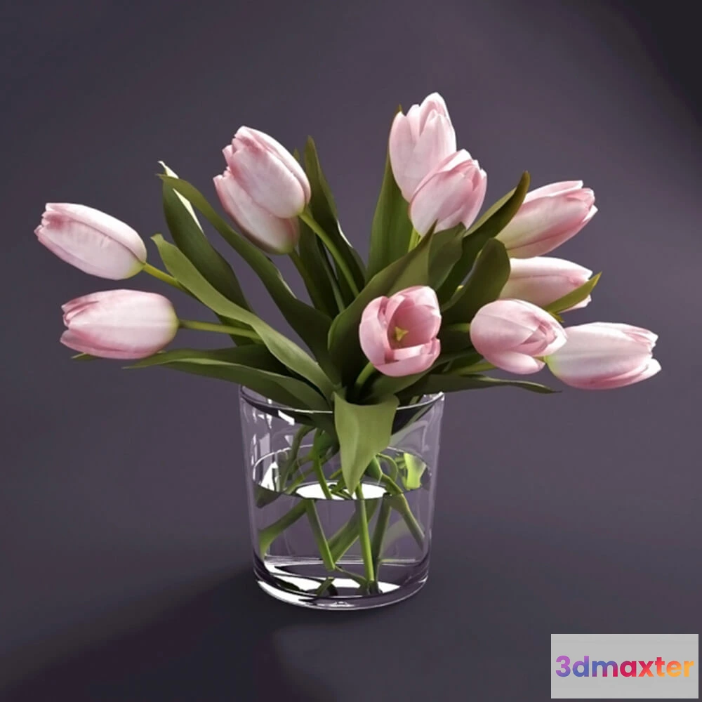 1608238 - decoration - Tulips 3D Max