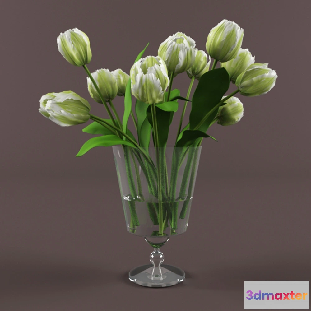 1608274 - decoration - Tulips 3D Max