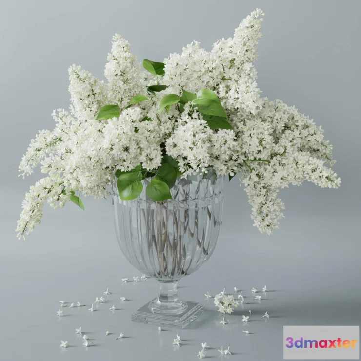 1608280 - decoration - Lilac 2 3D Max