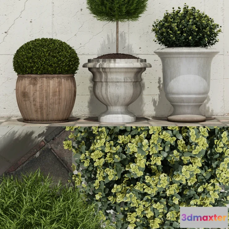 1608286 - decoration - Bushes 01 3D Max