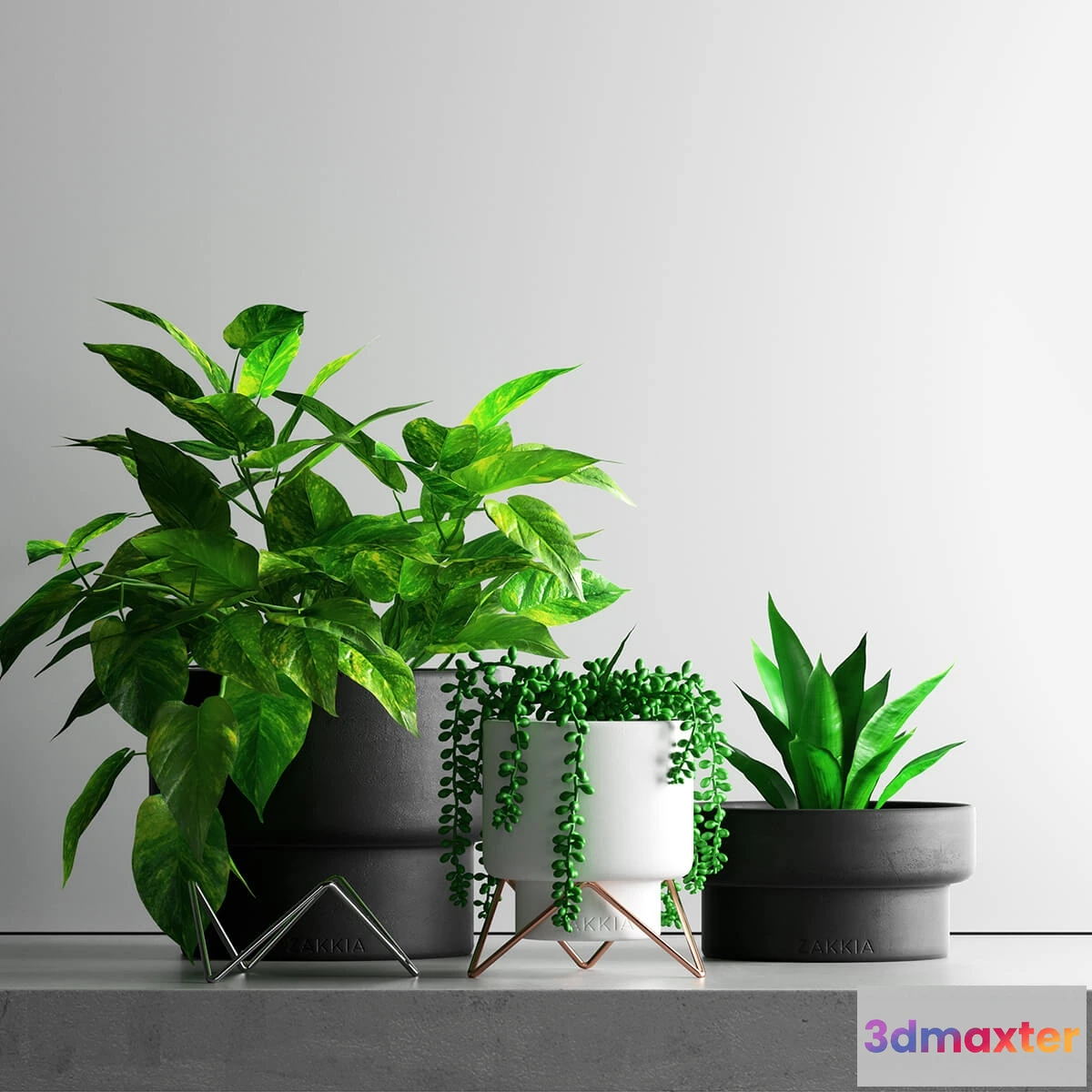 1608300 - decoration - Plant Set 1 23 3D Max