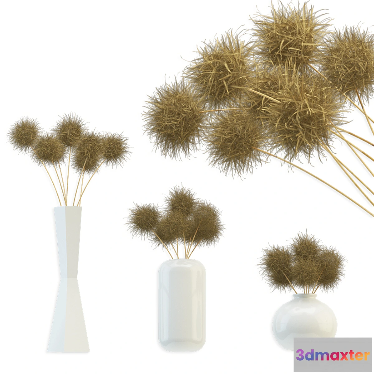 594646 - Bouquet of dried round flowers