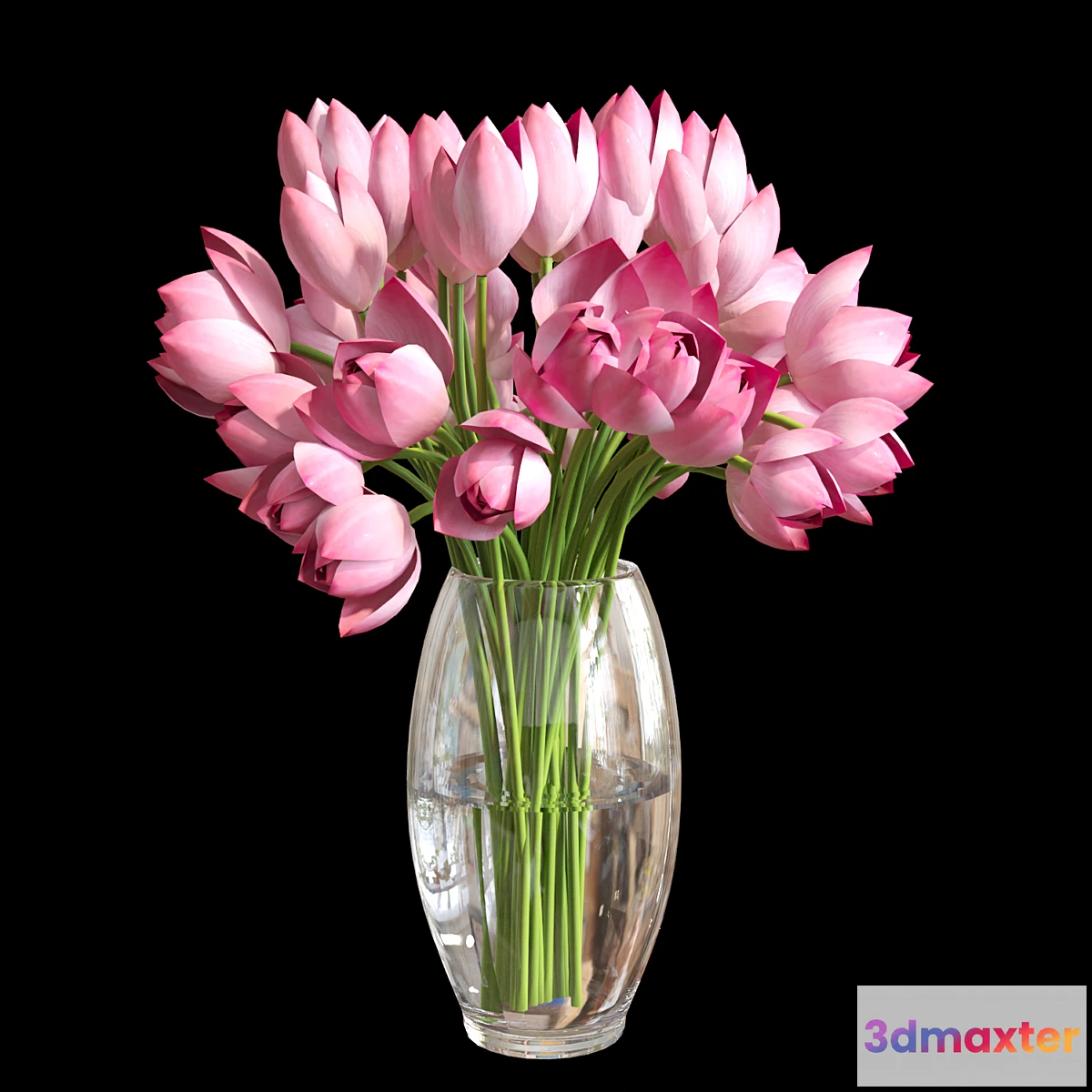 846903 - Lotus vase # 4