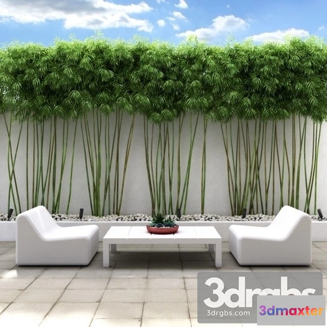 1011032 - Bamboo Wall - No.2