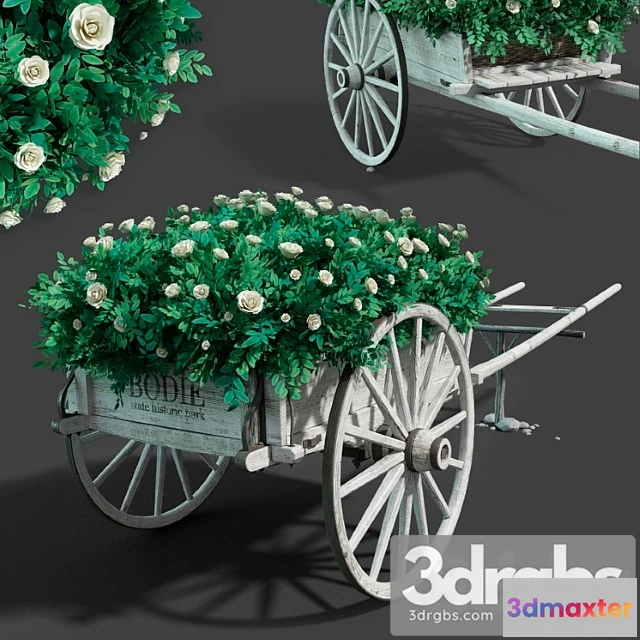 1011066 - Cart with Flowers