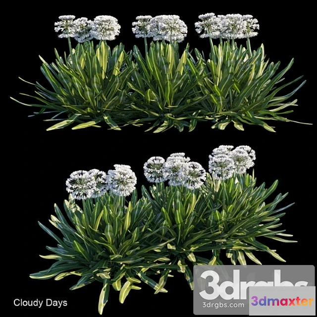 1011070 - Cloudy Days - No.2