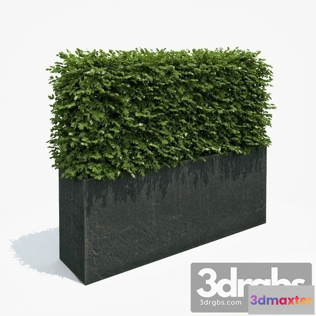 1011110 - Fence Potted Plants