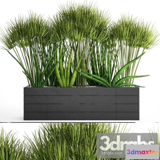 1011116 - Flowerbed With Plants