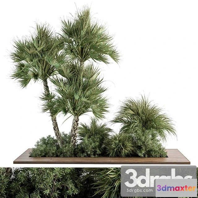 1011142 - Garden Set Tropical Plants Outdoor Plants Set 369