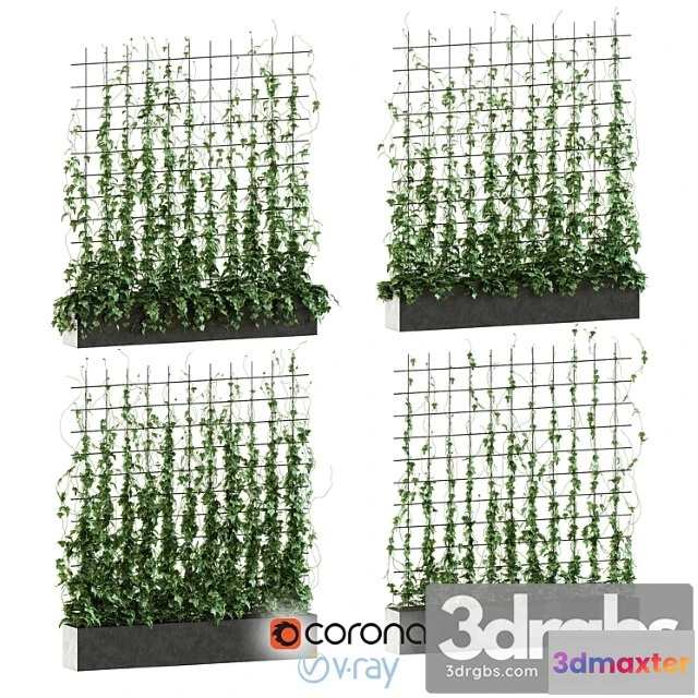 1011170 - Ivy on The Grid