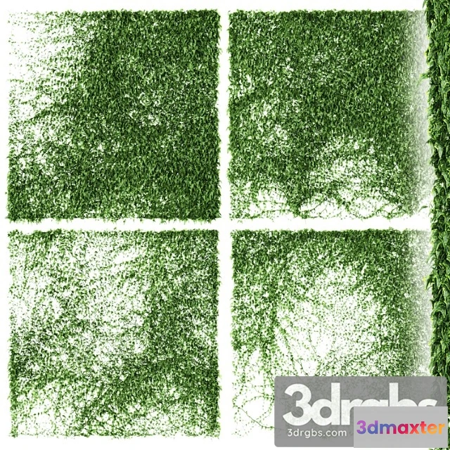 1011178 - Ivy Wall 4 Models V3
