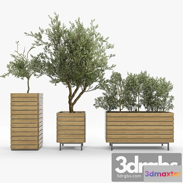 1011182 - Jasper Rectangle Planter Olea Europaea