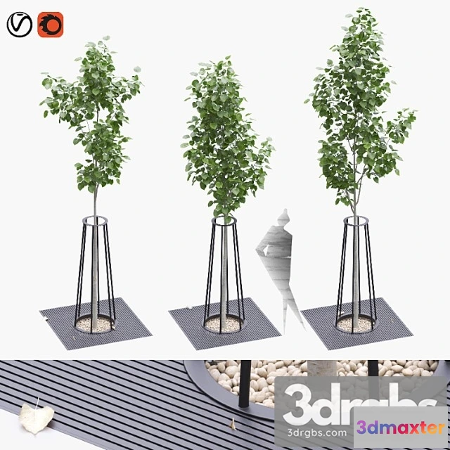 1011196 - Linden Seedlings in a Tree Trunk Lattice