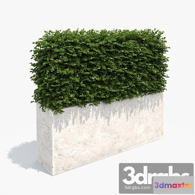 1011198 - Living Izgorod In White Plantierie