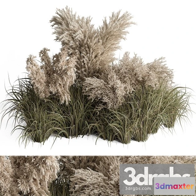 1011202 - Mixed Pampas Plant Bush Set 95