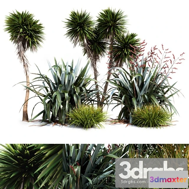 1011208 - Oceania Plant Set - No.2