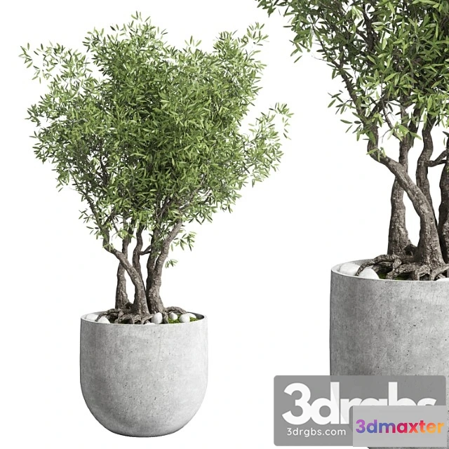 1011232 - Outdoor Plant 28 Concrete Vase