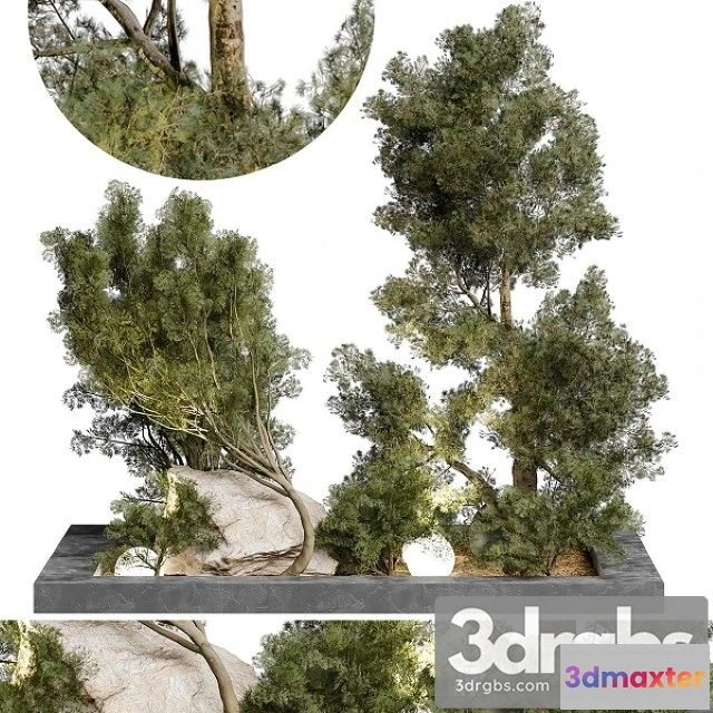 1011236 - Outdoor Plant 65