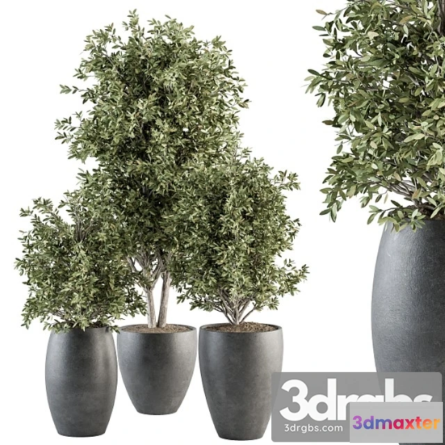 1011260 - Outdoor Plant Set 306 Plant And Tree Set