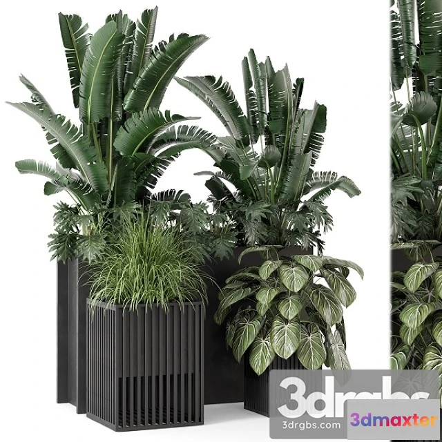 1011288 - Outdoor Plants Bush in Metal Pot Set 1074