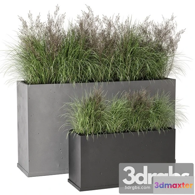 1011290 - Outdoor Plants Bush in Rusty Concrete Pot Set 565