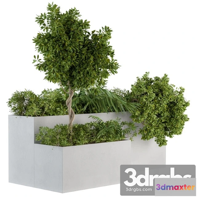 1011296 - Outdoor Plants Concrete Box Set 45