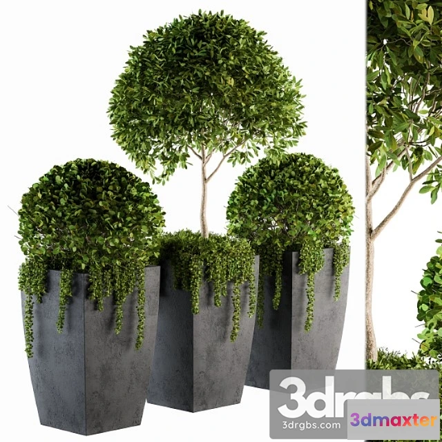 1011298 - Outdoor Plants Round Topiary Tree Set 75