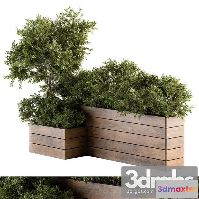 1011310 - Outdoor Plants Tree in Wood Box Set 154