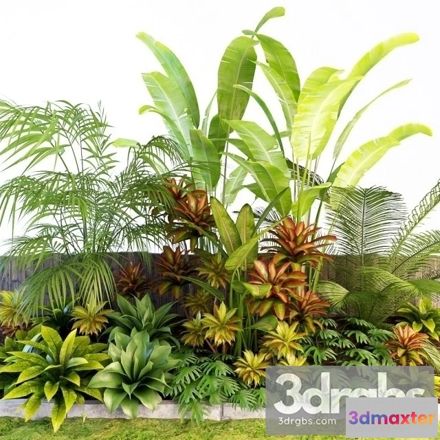 1011316 - Palm Composition