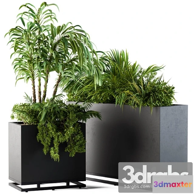 1011340 - Plant Box Metal Compact 04