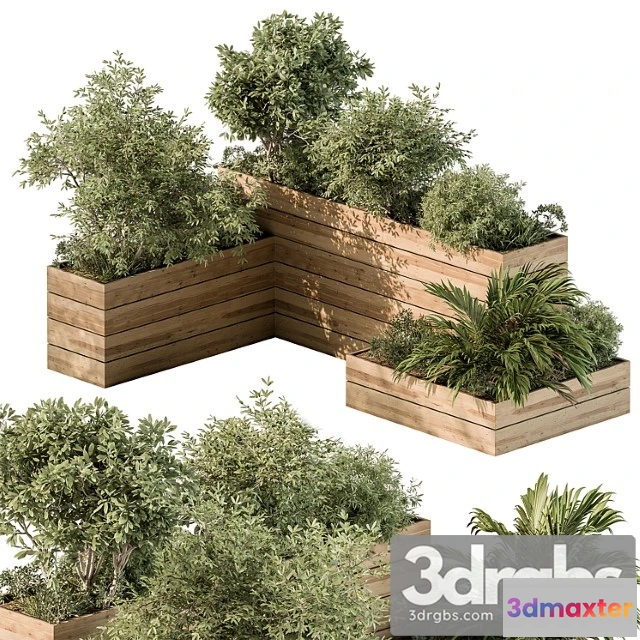 1011342 - Plant Box Outdoor Plants 487