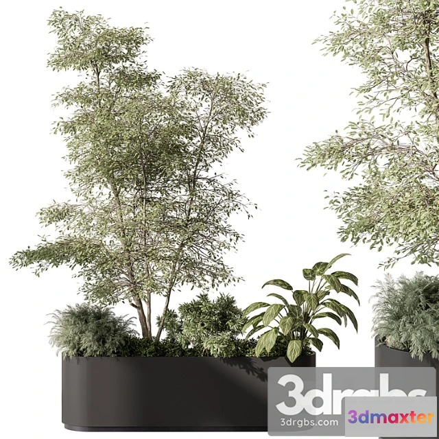 1011344 - Plant Box Outdoor Plants 515