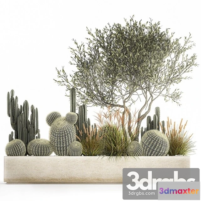 1011346 - Plant Collection 1105