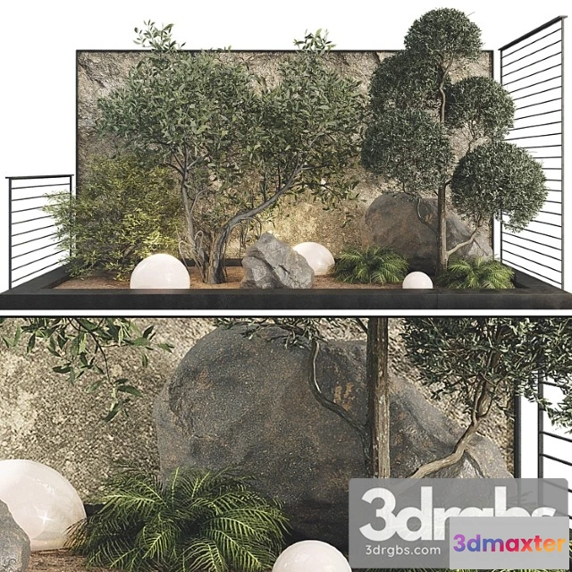 1011350 - Plant Collection Set 36