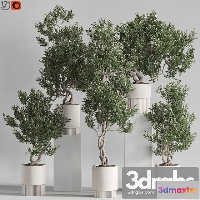 1011374 - Plants Collection 735