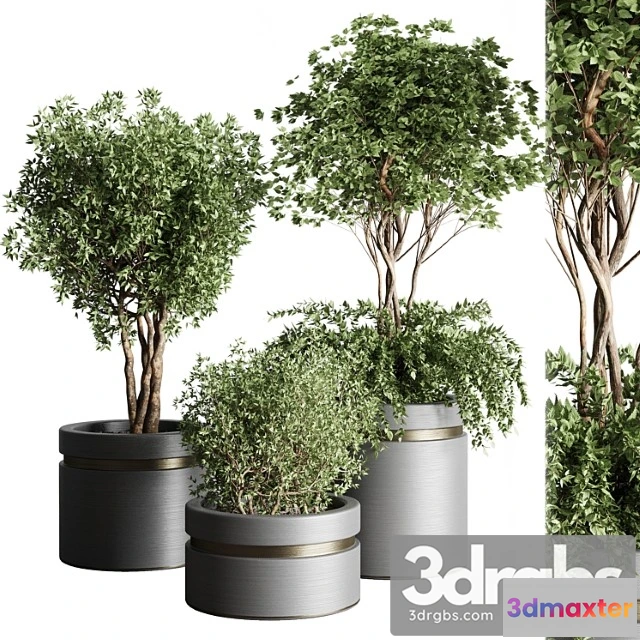 1011440 - Tree Pots and Shrubs Bush Collection 74 Metal Vase For Outdoor Indoor